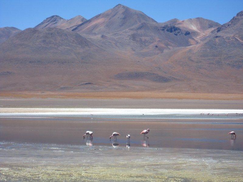 Uyuni