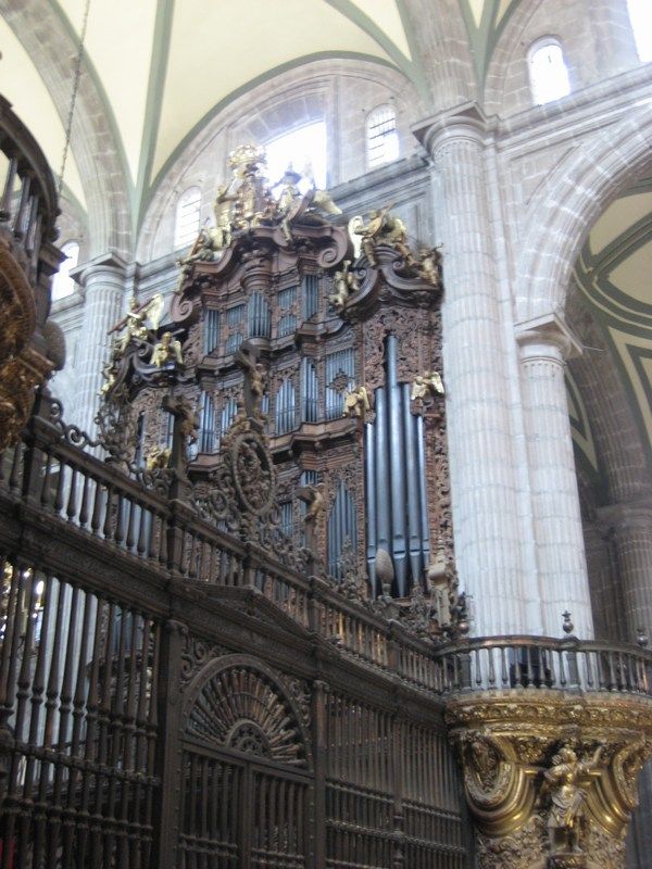 DF Catedral
