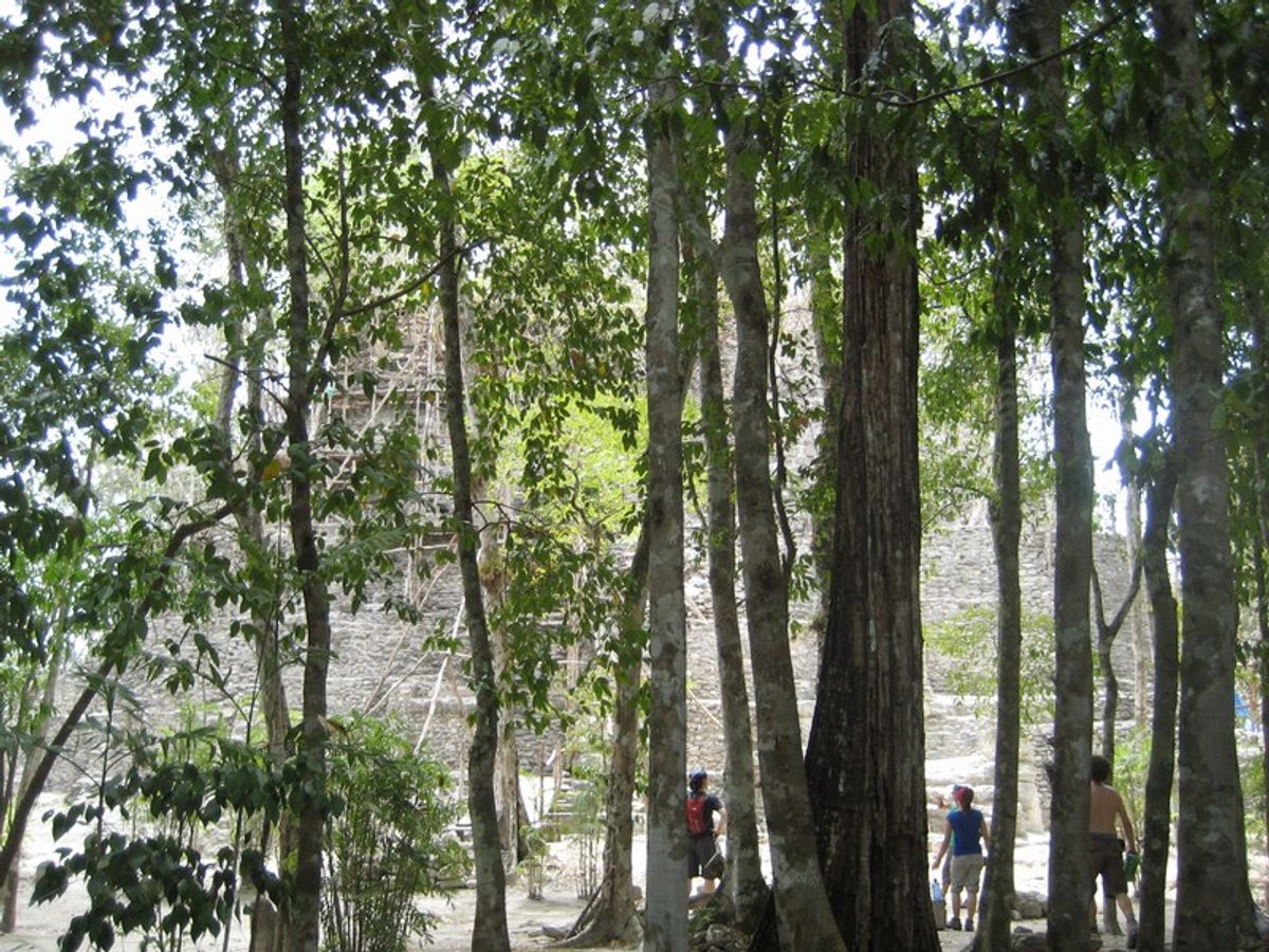 El Mirador