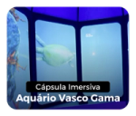 Cápsula Imersiva Aquário Vasco da Gama