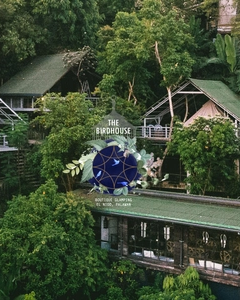 Aerial view of glamping boutique hotel The Birdhouse El Nido in Palawan 