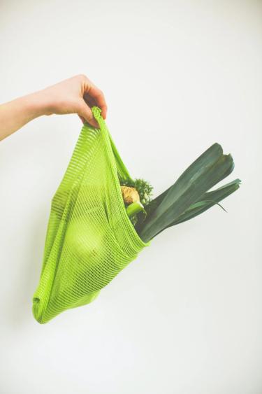 Hand holding out vegetable mesh bag filled with vegetables