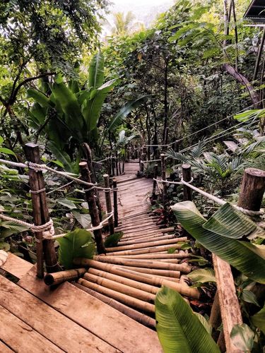 Winding stairs surrounded by a lush landscape at glamping boutique hotel The Birdhouse El Nido, Philippines