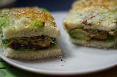 Two square sandwiches stacked on a plate, placed on a book