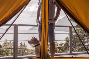 Man with dog outside closed tent at glamping boutique hotel The Birdhouse El Nido in the Philippines