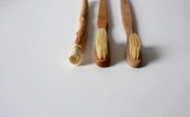 Two bamboo toothbrushes lined next side by side together with a bamboo twig 