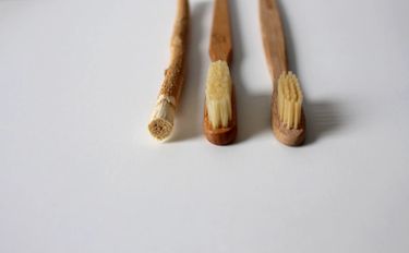 Two bamboo toothbrushes lined next side by side together with a bamboo twig