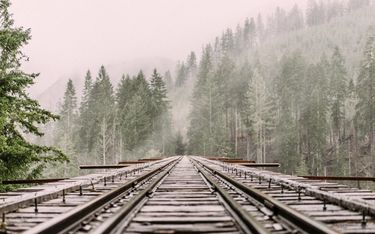 Train tracks in surrounded by a misty forest