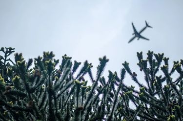 View from below of a plane surrounded by grass 