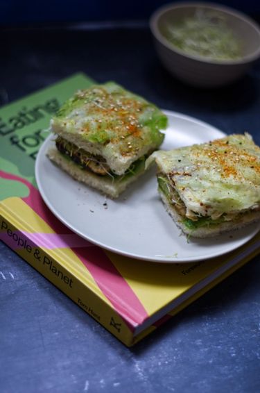 Two square sandwiches stacked on a plate, placed on a book