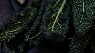 Kale bunched up with a cloth of linen covering part of them