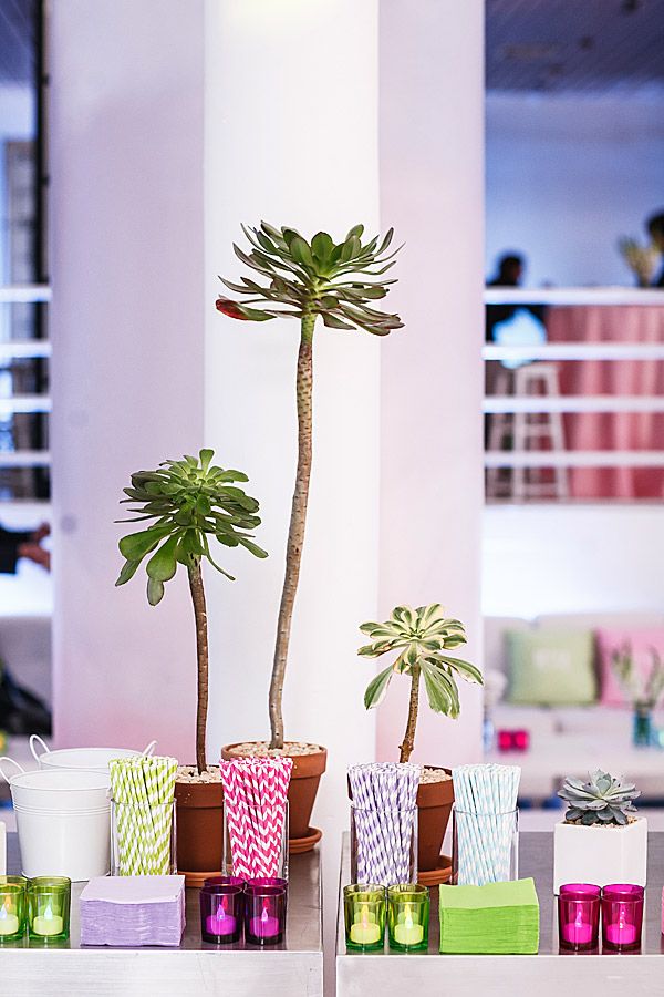 Gallery Photo 3