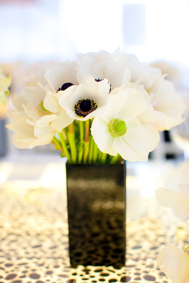 Gallery Photo 58