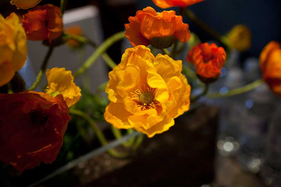 Gallery Photo 45