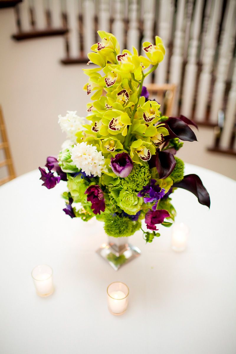 Gallery Photo 47