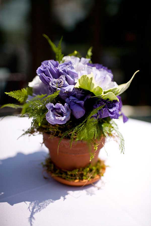 Gallery Photo 33