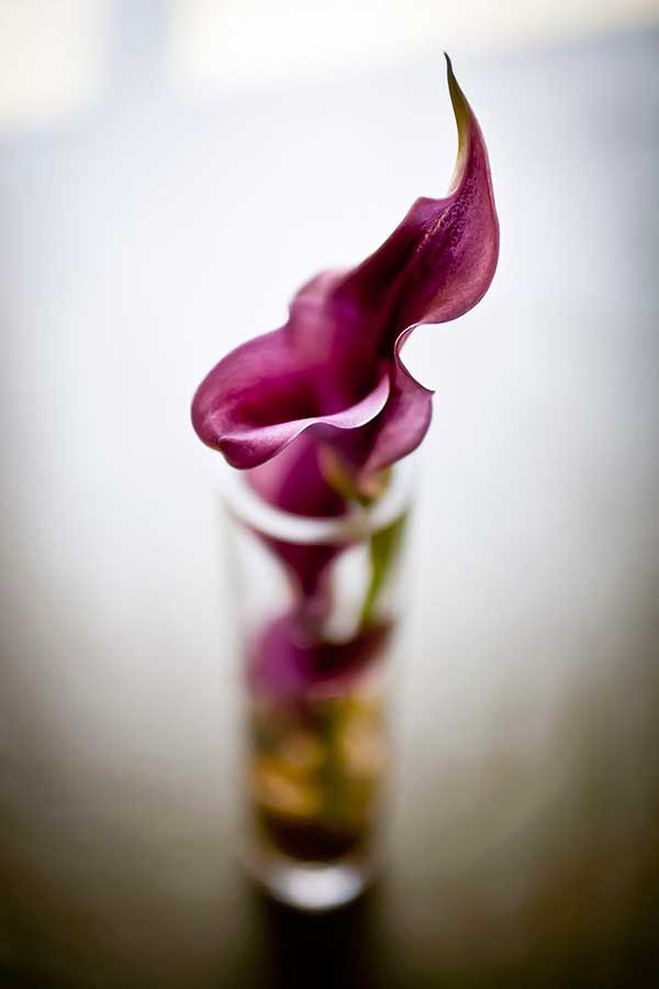 Gallery Photo 39