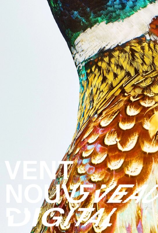 VENT NOUVEAU DIGITAL / bird