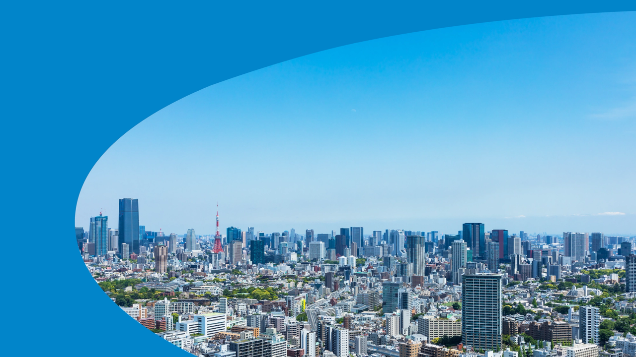 ブルーゾーンホールディングス C.I.設計