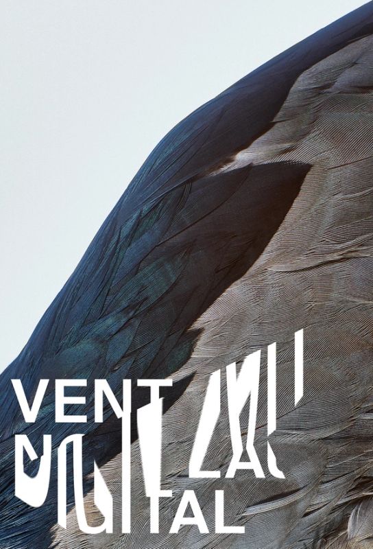 VENT NOUVEAU DIGITAL / bird