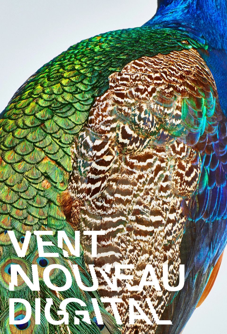 VENT NOUVEAU DIGITAL / bird