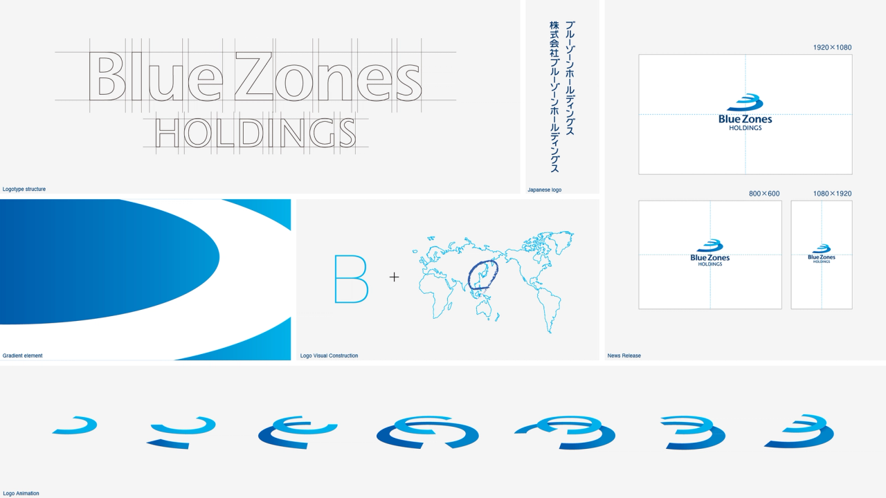 ブルーゾーンホールディングス C.I.設計