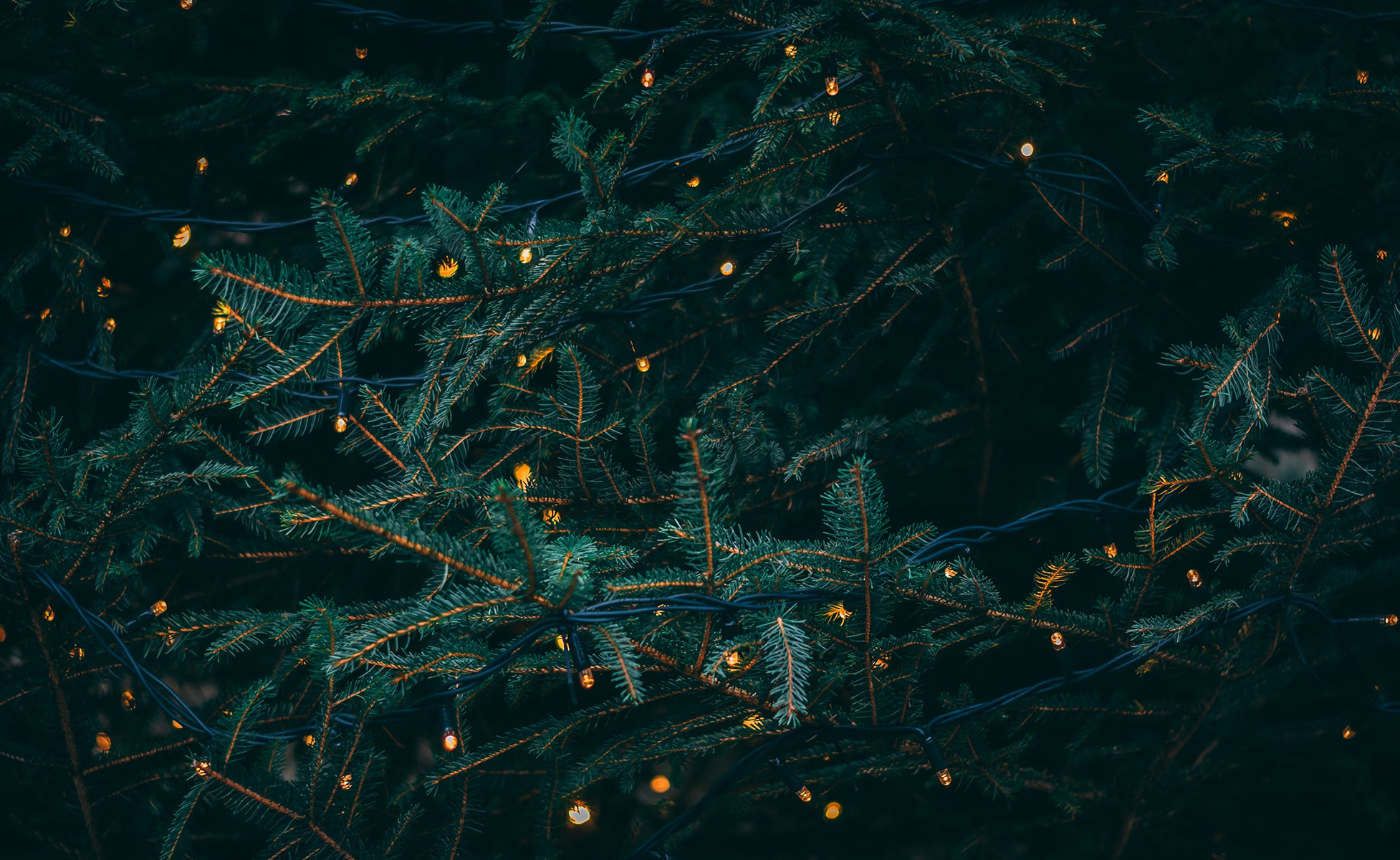 Symbolbild Weihnachten