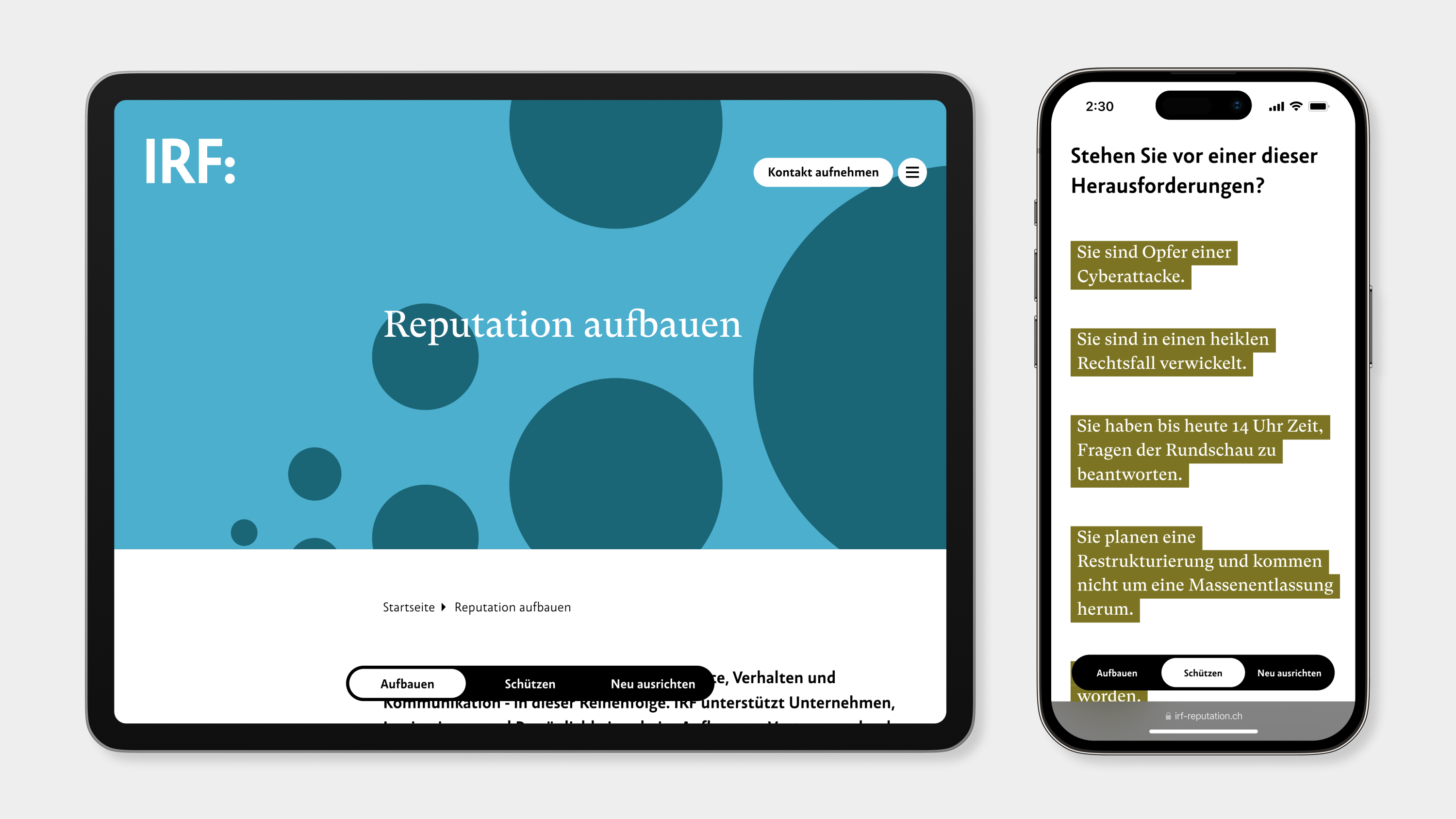 Vorschaubild IRF Website