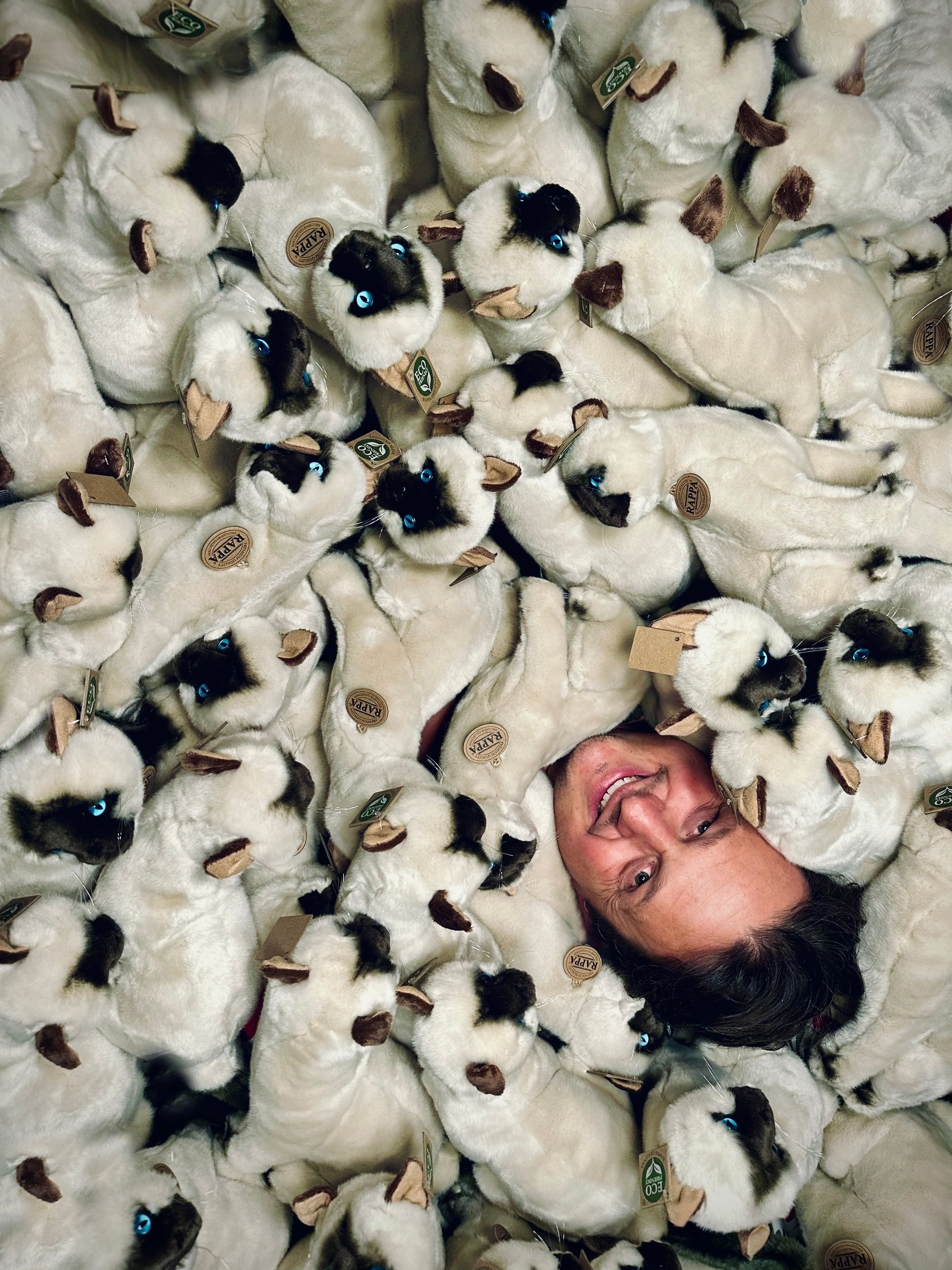 Oliver Ruhm in einem Riesenhaufen Katzen.