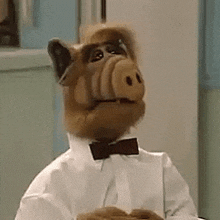 ALF findet Oliver O.K.