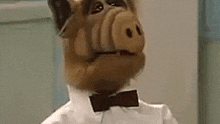 ALF findet Oliver O.K.