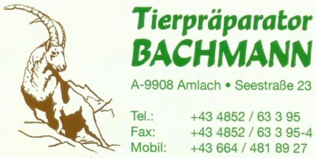 Tierpräparator Bachmann