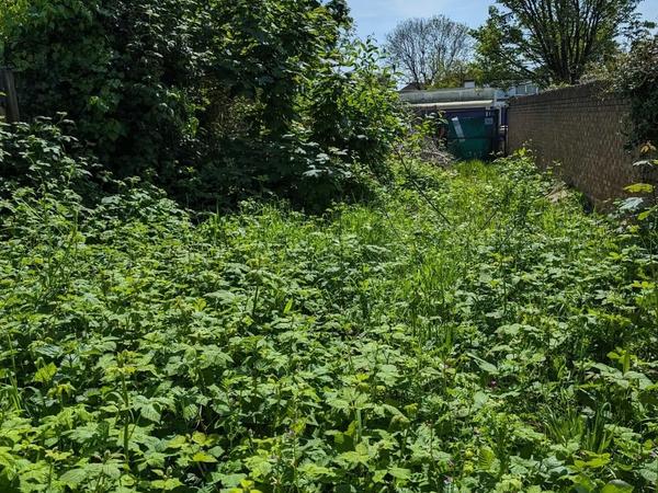 Before site clearance — School Ground Site Clearance — Harefield Junior School in Hillingdon