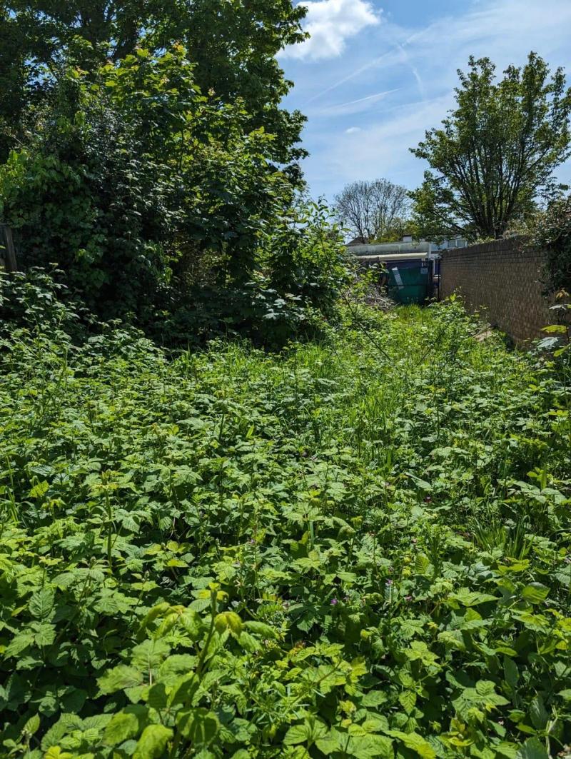 Before site clearance — School Ground Site Clearance — Harefield Junior School in Hillingdon