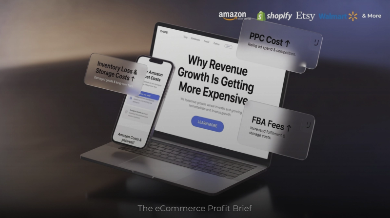 The New Cost of Selling Online: Why Revenue Growth Is Getting More Expensive