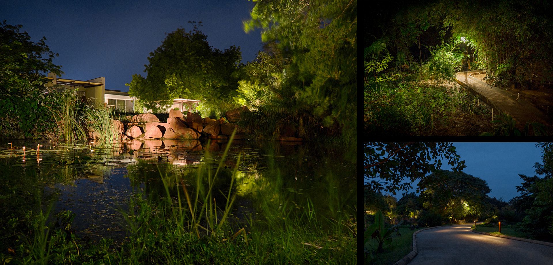 Inauguration — The lighting design for a private garden in Koteshwar