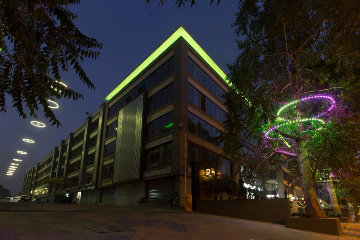 هالة الجذور