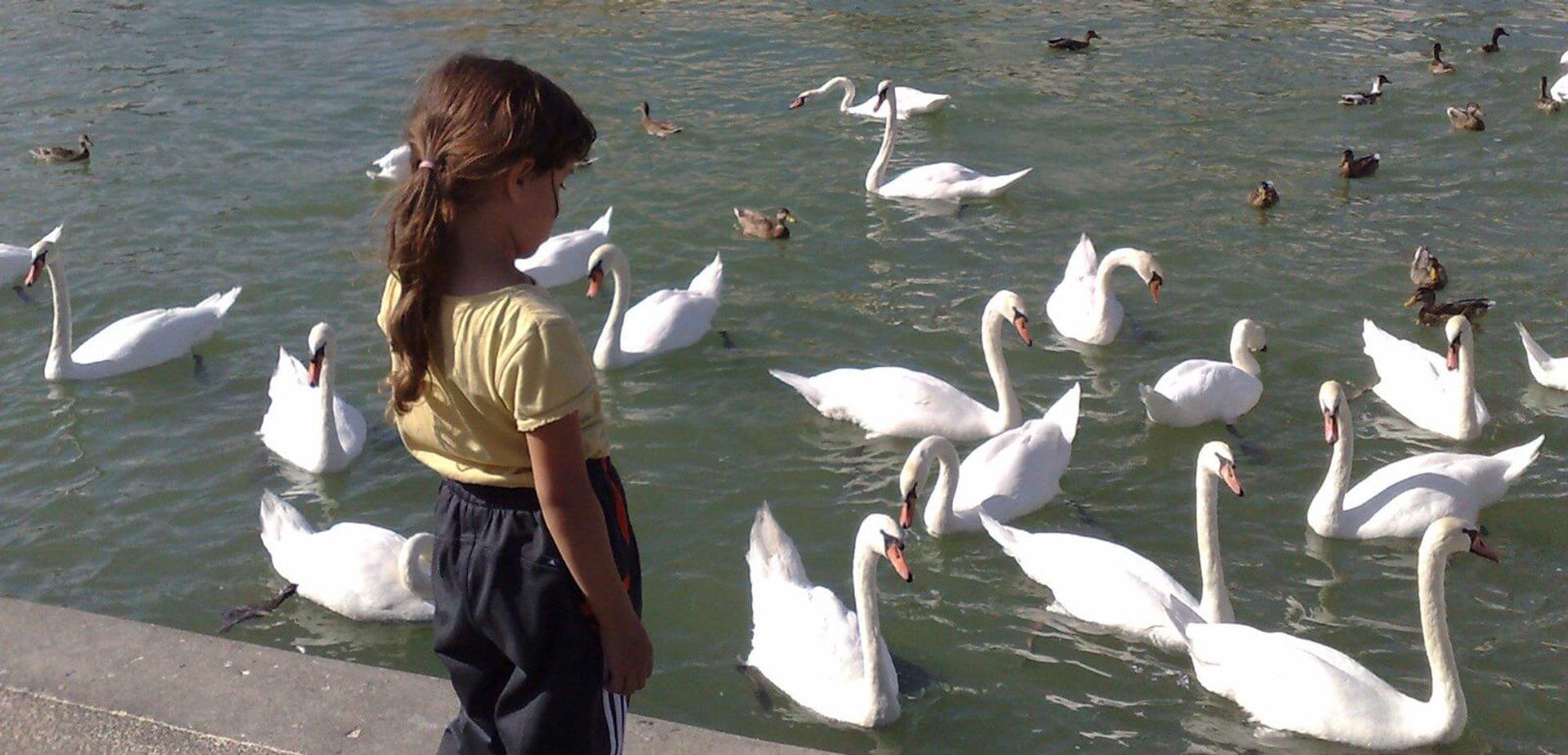 A Luminous and Poetic Tale for Christmas in Lagny-sur-Marne, IDF, France
