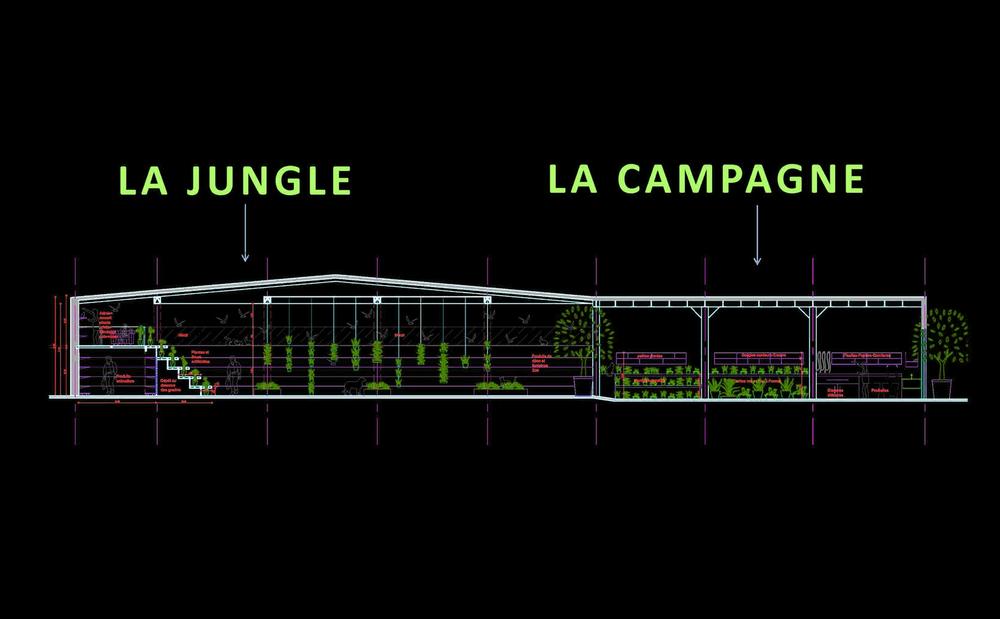 LA FONTAINE AUX FLEURS