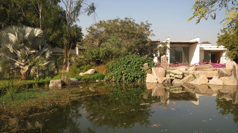 Entrée en portfolio — Lalbhai Family’s Forest Sanctuary, Koteshwar, Inde