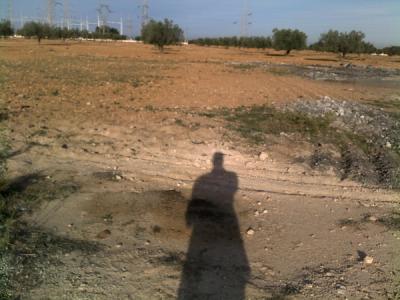Entrée en portfolio — Gold Sea Food Factory, Sfax, Tunisie
