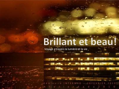 Conférence — Brillant et Beau : Atelier dada au séminaire INTERMED SEM2010, Sfax