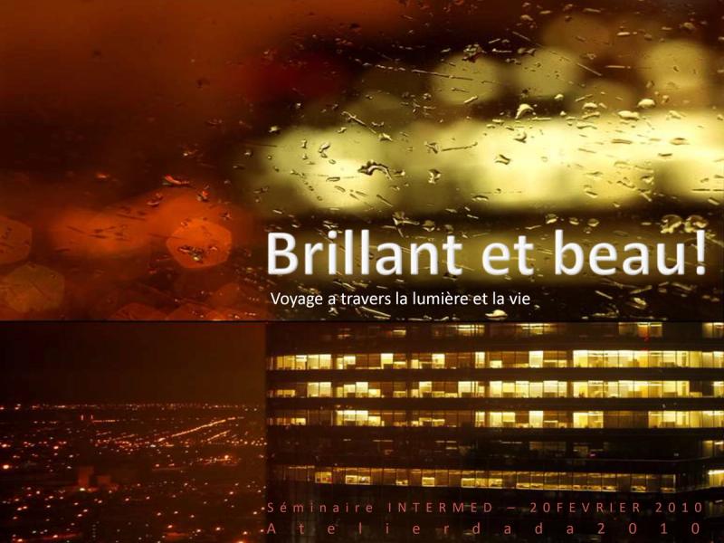 Conférence — Brillant et Beau : Atelier dada au séminaire INTERMED SEM2010, Sfax