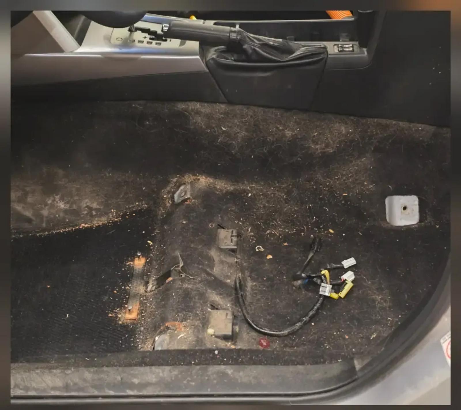 Subaru interior carpet full of dirt and pet hair before extraction in Anchorage, Alaska