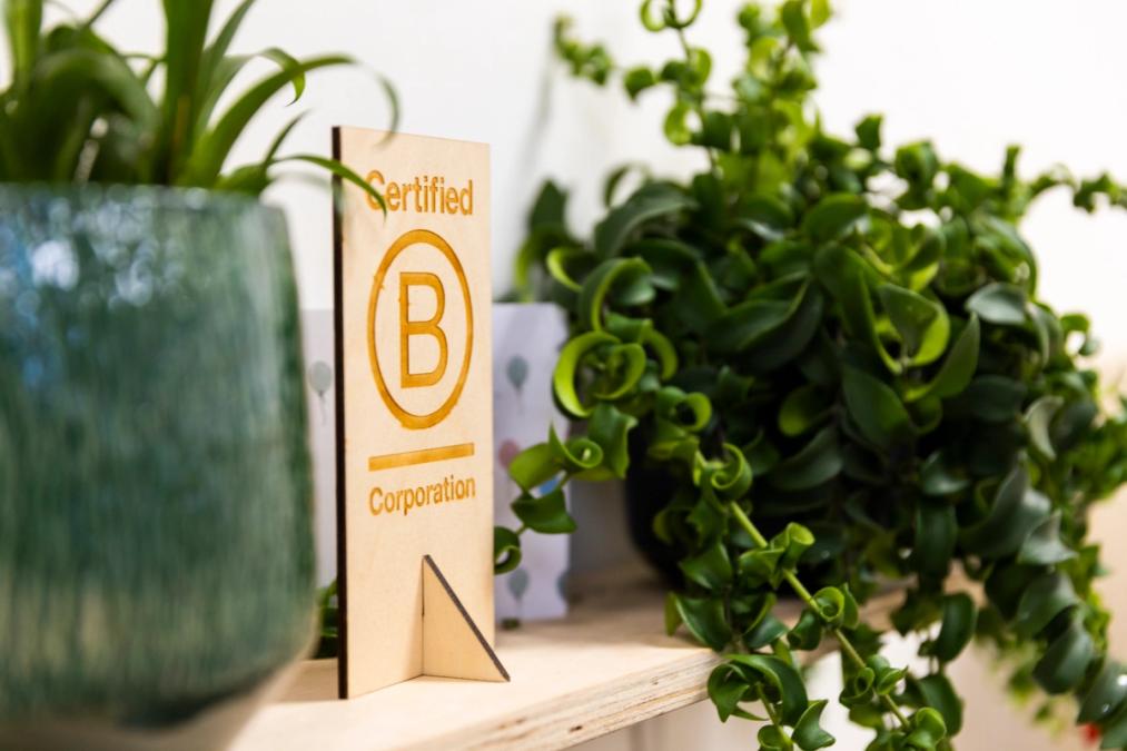 Wat is B Corp en wat levert het op?