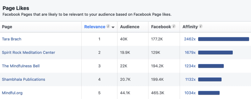 Facebook Audience Insights affinity score