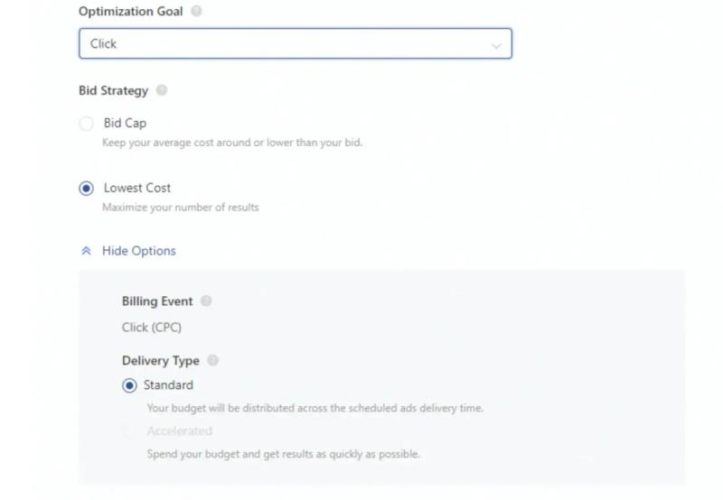 TikTok Ads bidding and optimization