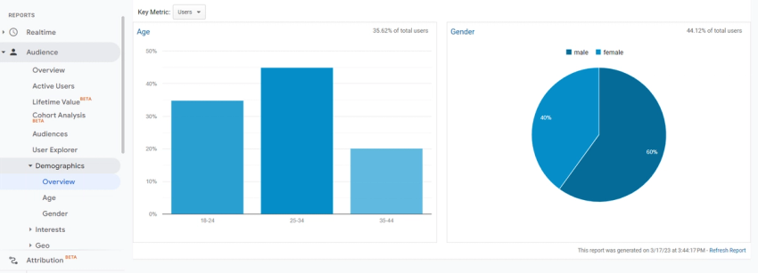 Google Analytics 4 audience demographics