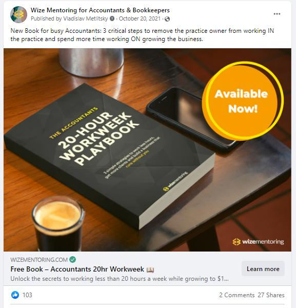 Wize Mentoring Facebook Ad example