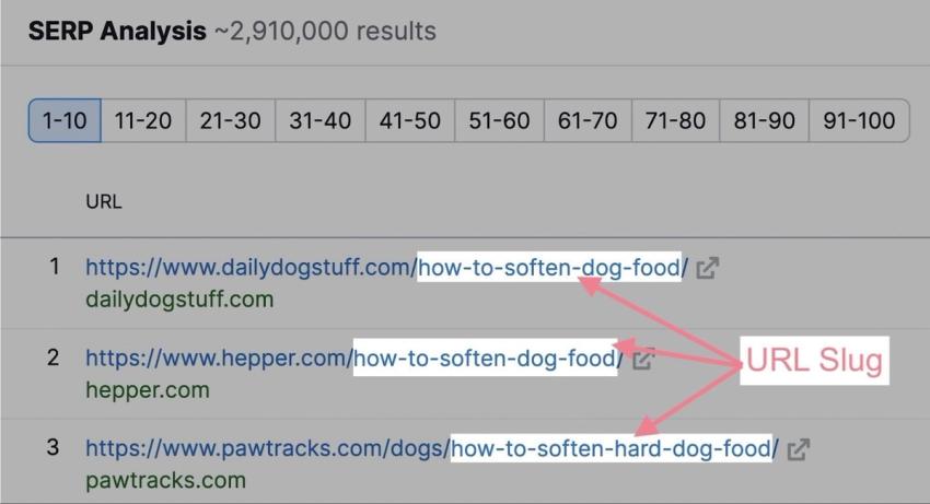 "how to soften dry dog food" SERP analysis results